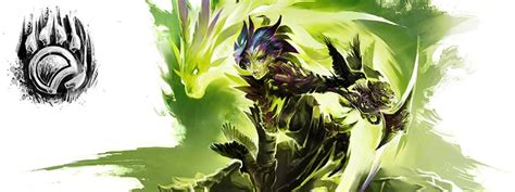 best in slot itemsfor gw2 ranger wvw|Power Longbow Soulbeast WvW Build .